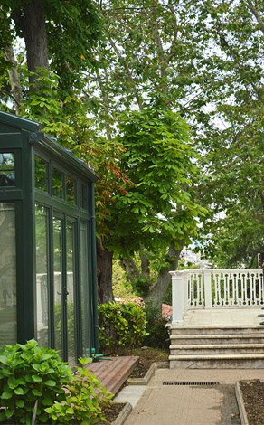 service image
